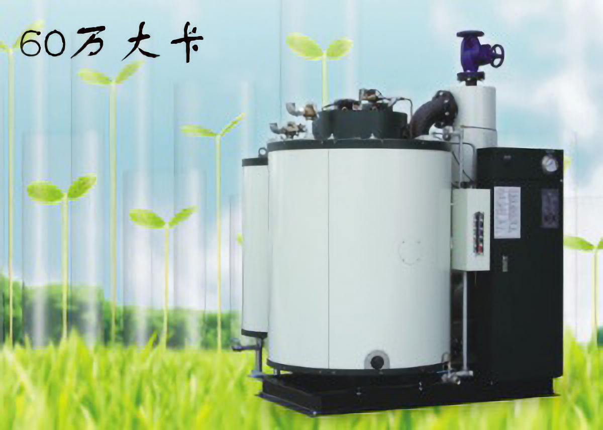 60万大卡热量燃气锅炉(生物质锅炉,燃煤锅炉)额定功率0.35MW 热效率≥99%,约21960元/台 第3张