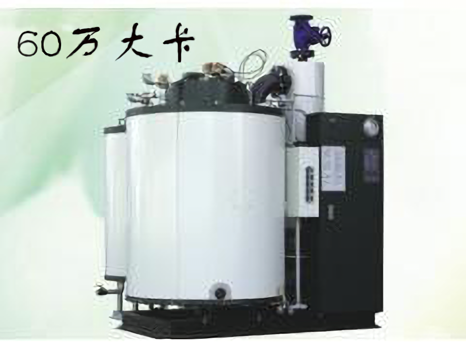 60万大卡热量燃气锅炉(生物质锅炉,燃煤锅炉)额定功率0.35MW 热效率≥99%,约21960元/台 第1张