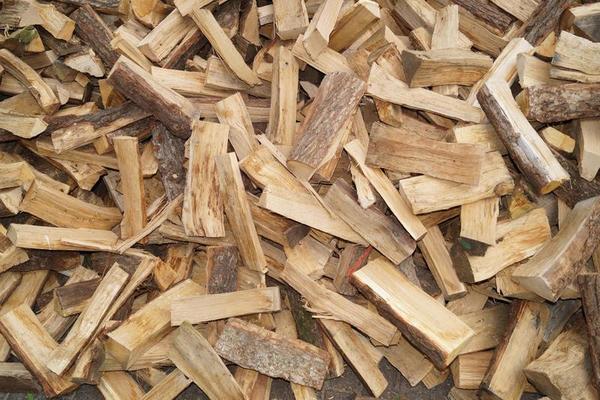 锅炉可以用电加热吗 第1张