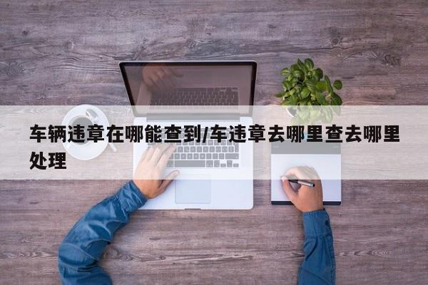 车辆违章在哪能查到/车违章去哪里查去哪里处理