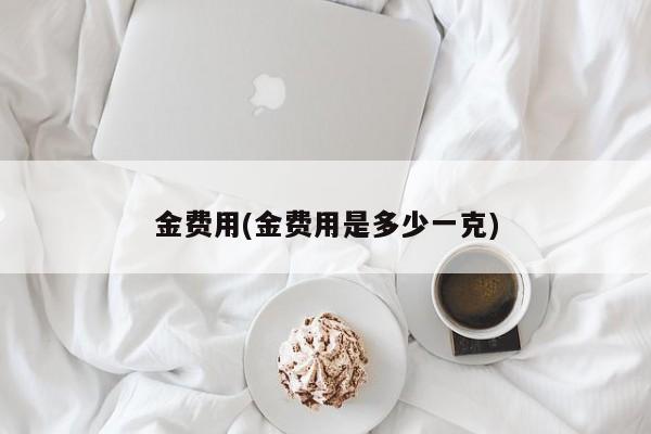 金费用(金费用是多少一克)