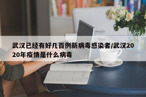 武汉已经有好几百例新病毒感染者/武汉2020年疫情是什么病毒