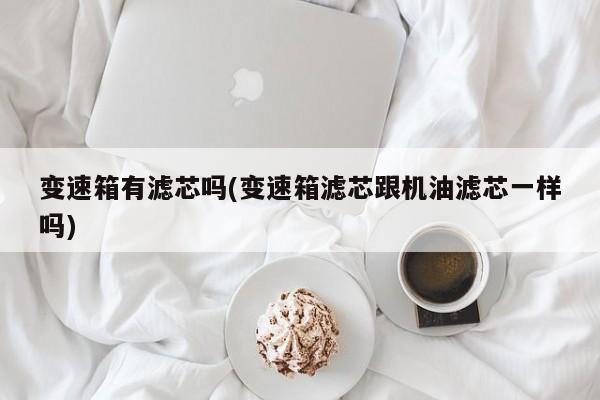 变速箱有滤芯吗(变速箱滤芯跟机油滤芯一样吗)