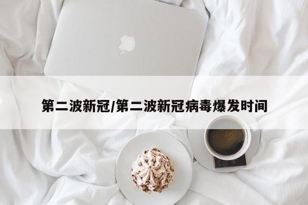 第二波新冠/第二波新冠病毒爆发时间