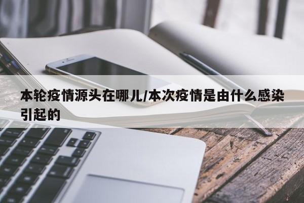 本轮疫情源头在哪儿/本次疫情是由什么感染引起的