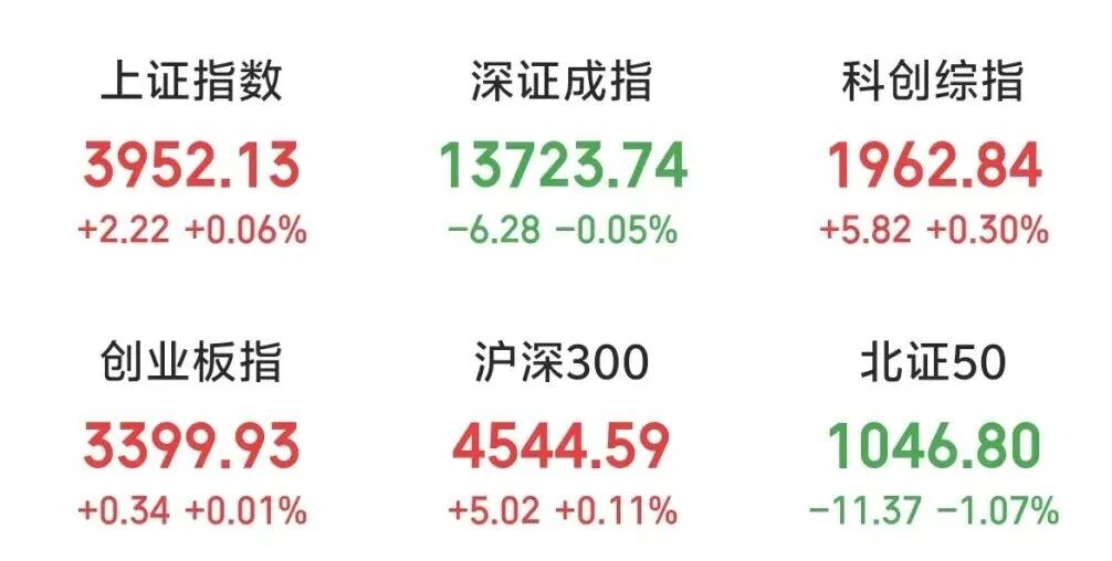 480亿龙头，尾盘涨停